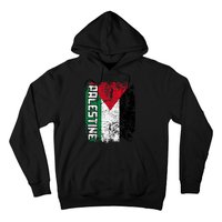 Palestine Flag | Vintage Big Palestine Flag Hoodie