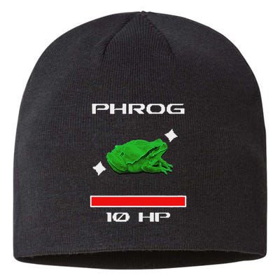 Phrog Frog Videogame Funny Meme Game Sustainable Beanie