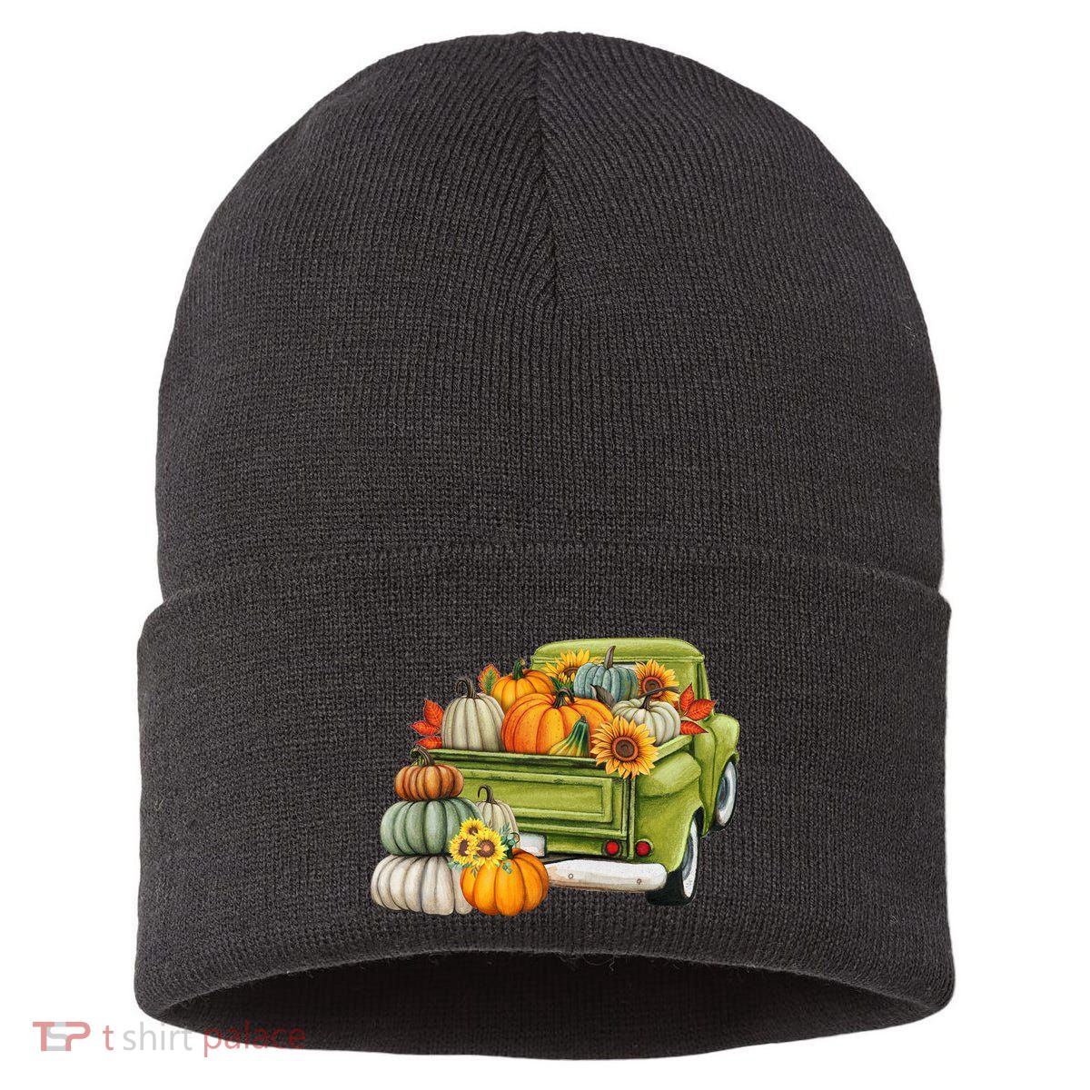 Pumpkin Fall Vintage Truck Sustainable Knit Beanie