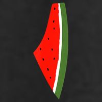 Palestine Freedom Watermelon Beanie