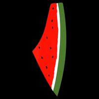 Palestine Freedom Watermelon 16 in Basic Backpack