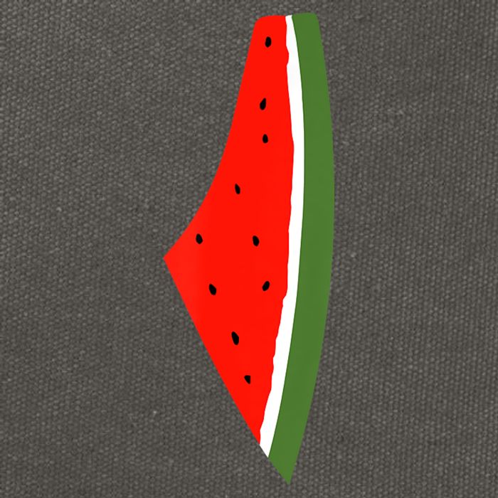 Palestine Freedom Watermelon Cotton Canvas Backpack
