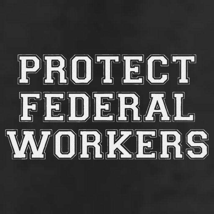 Protect Federal Workers Defend Public Service And Democracy Garment-Dyed Fleece Hoodie
