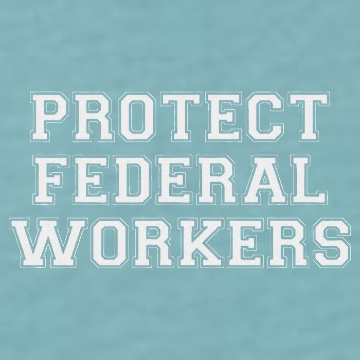 Protect Federal Workers Defend Public Service And Democracy Sueded Cloud Jersey T-Shirt