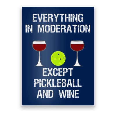 Pickleball Funny Wine Poster