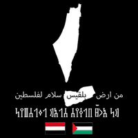 Peace From Yemen To Palestine Yemen Flag Free Palestine 16 in Basic Backpack