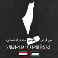 Peace From Yemen To Palestine Yemen Flag Free Palestine Crop Fleece Hoodie