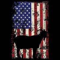 Patriotic Goat 4th of July American Flag Stripe Pom Pom Beanie