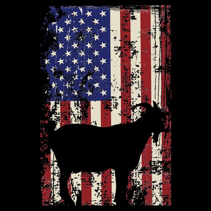 Patriotic Goat 4th of July American Flag Flatbill Hat