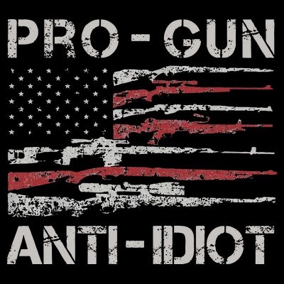 Pro Gun Anti Idiot Vintage USA Flag 2nd Amendment T-Shirt