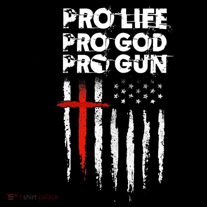 Pro Gun American Flag Patriotic Christian 7-Panel Snapback Hat