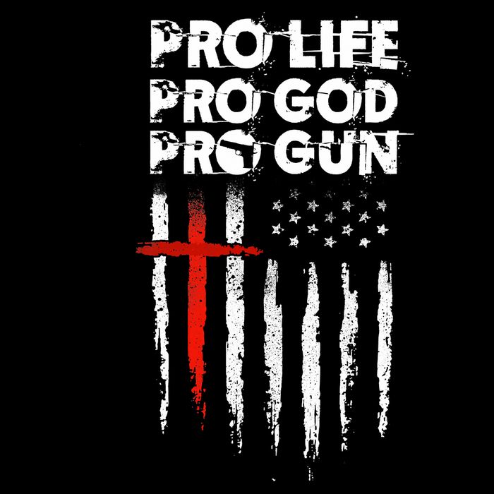 Pro Gun American Flag Patriotic Christian Flat Bill Trucker Hat