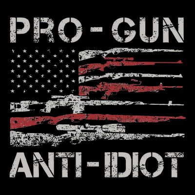 Pro Gun Anti Idiot Vintage Usa Flag 2nd Amendment T-Shirt