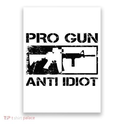 Pro Gun Anti Idiot 2nd Amendment Ar15 Rifle Gun Rights Poster