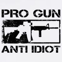 Pro Gun Anti Idiot 2nd Amendment Ar15 Rifle Gun Rights Wool Snapback Cap