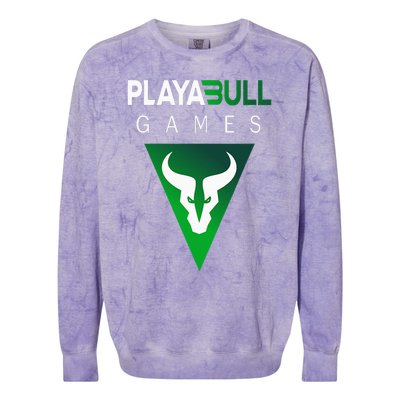 Playabull Games Crypto Playable Games 3ull Playa3ull Games Colorblast Crewneck Sweatshirt