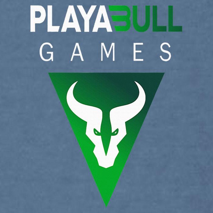 Playabull Games Crypto Playable Games 3ull Playa3ull Games Garment-Dyed Sweatshirt