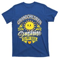 Proud Grandma Cute Gift Blessed Grandmother Love Nana T-Shirt