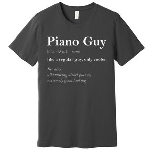 Piano Guy Definition Funny Boy Piano Gift Piano Player Premium T-Shirt