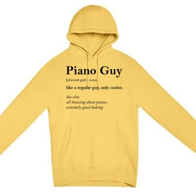 Piano Guy Definition Gift Funny Boy Piano Gift Piano Player Gift Premium Pullover Hoodie