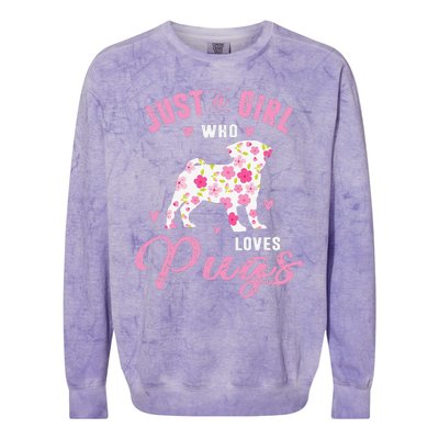 Pug Gifts For Funny Just A Who Loves Pugs Colorblast Crewneck Sweatshirt