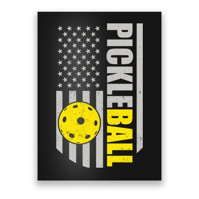 Pickleball Gift_American Flag Pickleball Paddle Poster
