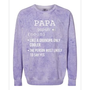 Papa Gift From Grandkids Father's Day Shirt Papa Definition Colorblast Crewneck Sweatshirt