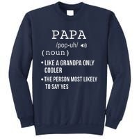 Papa Gift From Grandkids Father's Day Shirt Papa Definition Sweatshirt