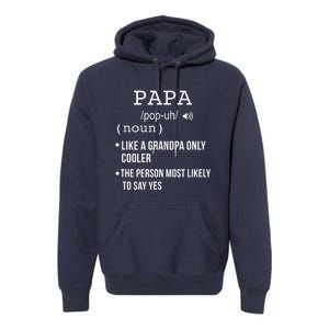 Papa Gift From Grandkids Father's Day Shirt Papa Definition Premium Hoodie