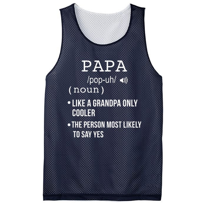 Papa Gift From Grandkids Father's Day Shirt Papa Definition Mesh Reversible Basketball Jersey Tank