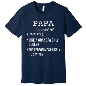 Papa Gift From Grandkids Father's Day Shirt Papa Definition Premium T-Shirt