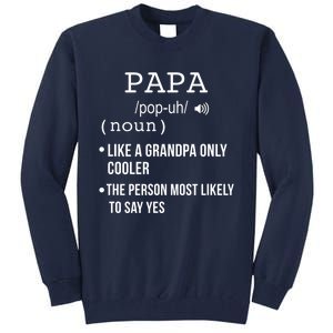 Papa Gift From Grandkids Father's Day Shirt Papa Definition Tall Sweatshirt