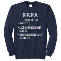 Papa Gift From Grandkids Father's Day Shirt Papa Definition Tall Sweatshirt