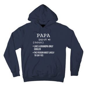 Papa Gift From Grandkids Father's Day Shirt Papa Definition Tall Hoodie