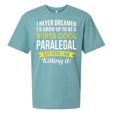 Paralegal Gifts Funny Sueded Cloud Jersey T-Shirt