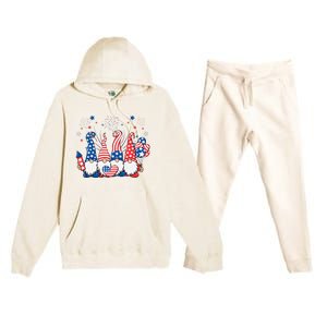 Patriotic Gnomes Fireworks USA Independence Day 4th Of July Premium Hooded Sweatsuit Set