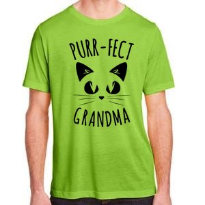 PURRFECT Grandma Fur Mom Cute Cat Lover Animal Gift Adult ChromaSoft Performance T-Shirt