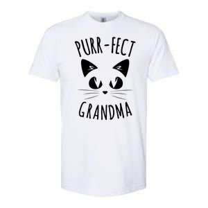 PURRFECT Grandma Fur Mom Cute Cat Lover Animal Gift Softstyle CVC T-Shirt