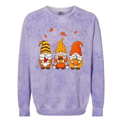 Pumpkin Gnomes Fall Autumn Cute Halloween Thanksgiving Colorblast Crewneck Sweatshirt