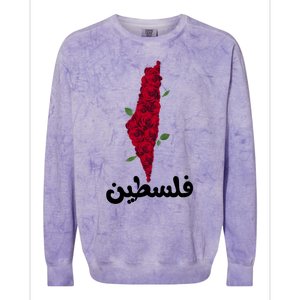 Palestine Gift Free Palestine Gift Palestine Map Great Gift Colorblast Crewneck Sweatshirt