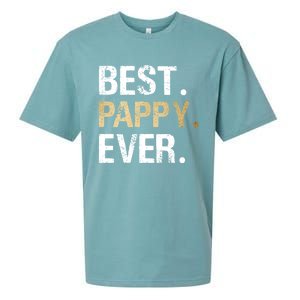 Pappy Gift From Granddaughter Grandson Best Pappy Ever Gift Sueded Cloud Jersey T-Shirt