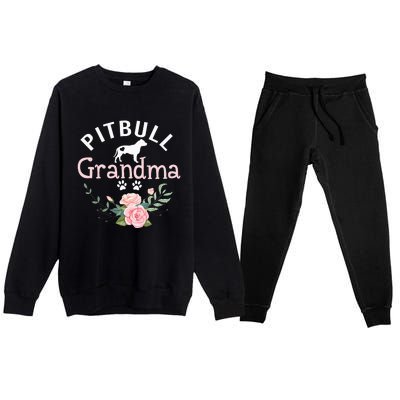 Pitbull Grandma Gifts Wo Mom Dog Lover Premium Crewneck Sweatsuit Set