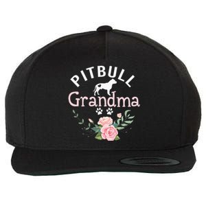 Pitbull Grandma Gifts Wo Mom Pitbull Dog Lover Christmas Wool Snapback Cap