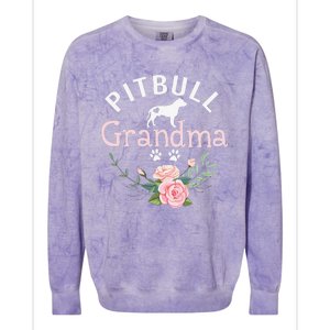 Pitbull Grandma Gifts Womens Mom Pitbull Dog Lover Christmas Colorblast Crewneck Sweatshirt