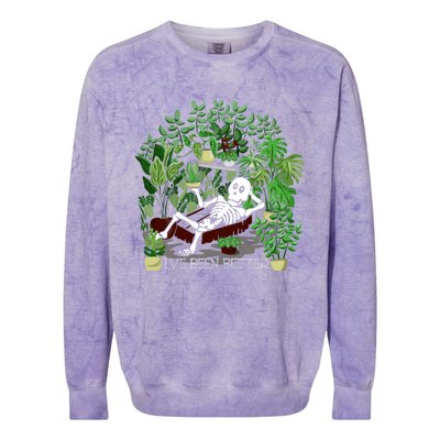 Plant Gift IVe Been Better Colorblast Crewneck Sweatshirt