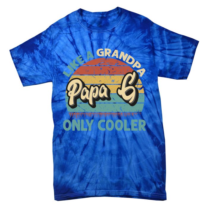 Papa G Like A Grandpa Only Cooler Vintage Dad Fathers Day Gift Tie-Dye T-Shirt