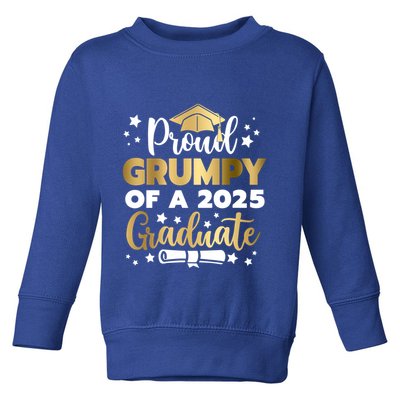Proud Grumpy Of A 2025 Graduate Grumpy Senior 2025 Great Gift Toddler Sweatshirt