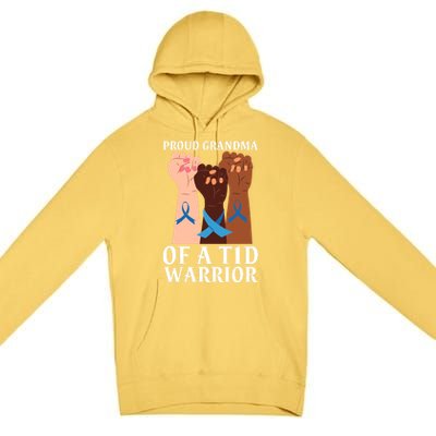 Proud Grandma Of A T1d Warrior Diabetes Awareness Cool Gift Premium Pullover Hoodie