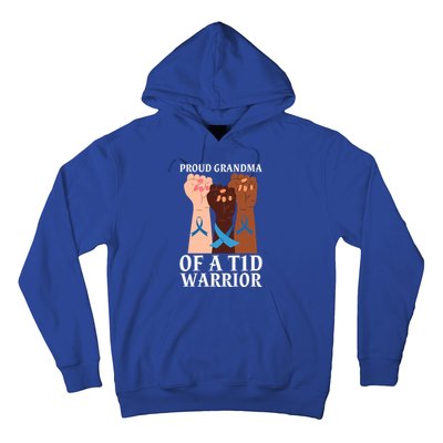 Proud Grandma Of A T1d Warrior Diabetes Awareness Cool Gift Hoodie