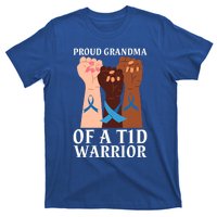 Proud Grandma Of A T1d Warrior Diabetes Awareness Cool Gift T-Shirt